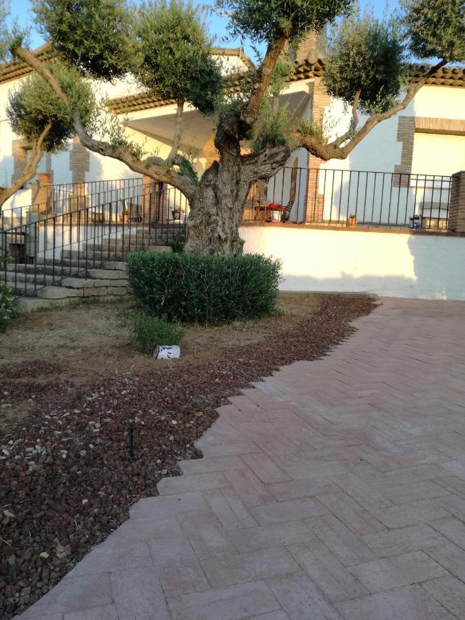Casa Rural La Amistad Villa Burguillos de Toledo Exteriör bild