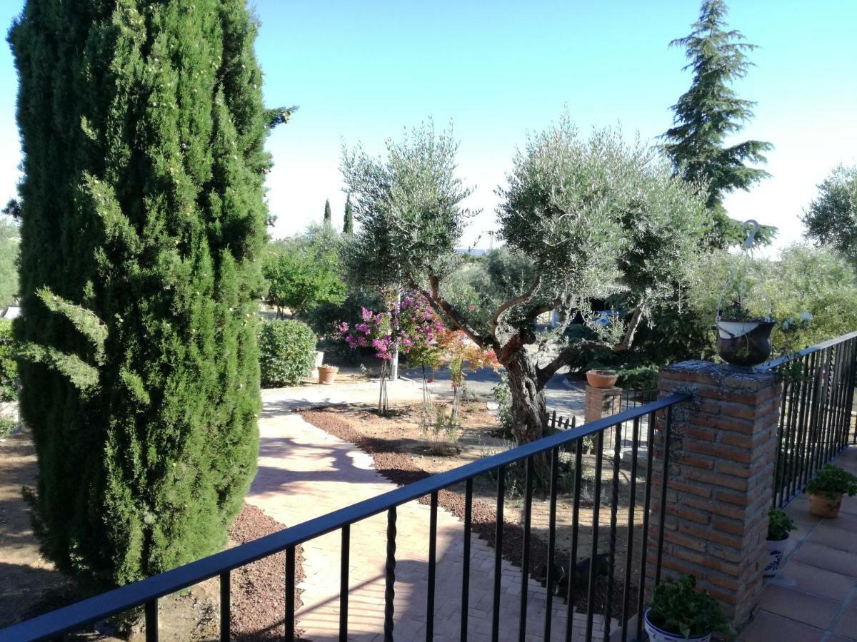 Casa Rural La Amistad Villa Burguillos de Toledo Exteriör bild