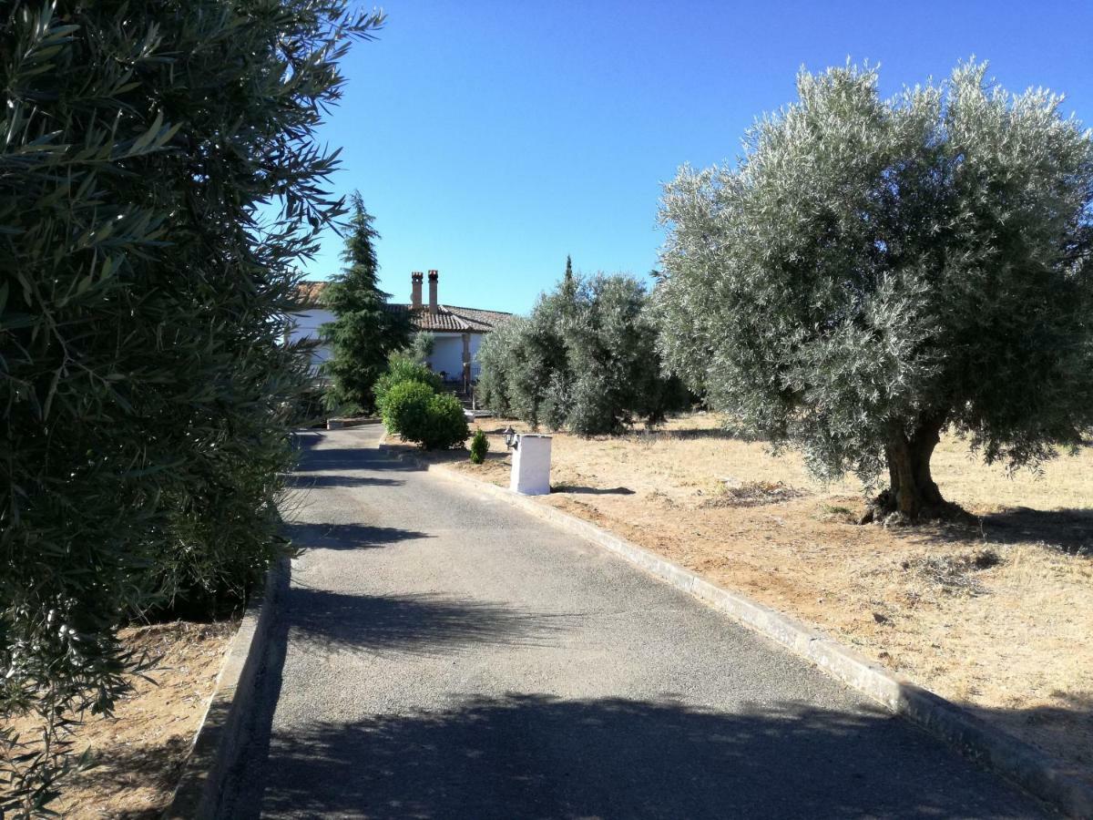 Casa Rural La Amistad Villa Burguillos de Toledo Exteriör bild